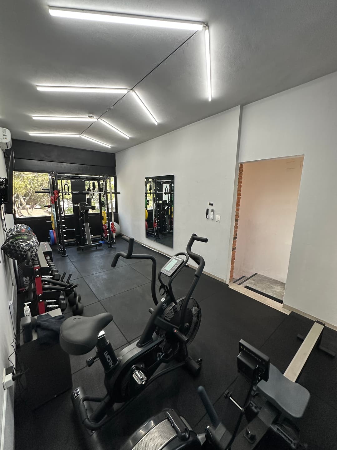 Concept2 rower and Lycan AssaultBike with the strength area behind
